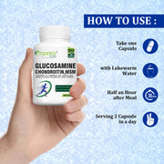 Glucosamine with Chondroitin, MSM with Herbs for Healthy Joints - 60 Capsules